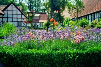 lavender garden to repel pests