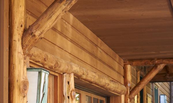 16' x 24' Custom Garage (wood siding)