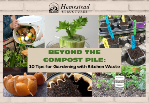 Beyond the Compost Pie: 10 Tips for Gardening with Kitchen Waste