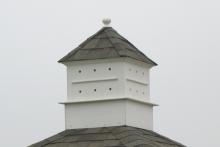 Birdhouse Cupola