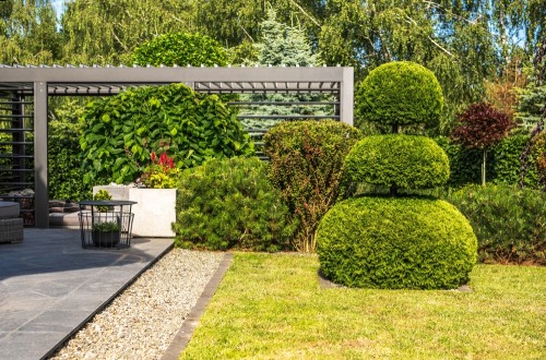 Pergola in a garden